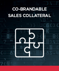 Download the Co-brandable Sales Collateral from Target Defense