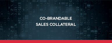 Download the Co-brandable Sales Collateral from Target Defense